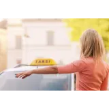 TAXI PANDA, Ines Kranjc s.p., prevozne storitve