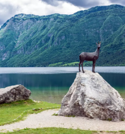 Oddaja apartmaja Bohinj