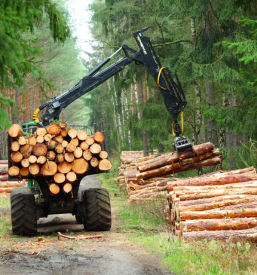 Posek secnja in spravilo lesa cerknica postojna