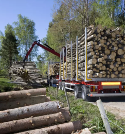 Prevoz odkup in prodaja lesa cerknica postojna notranjsko kraska