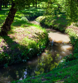 Ugoden najem sobe kanal ob soci goriska