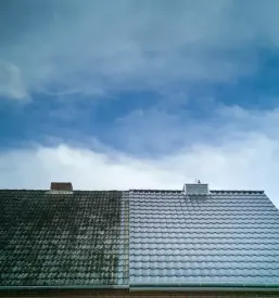 Urejanje in ciscenje okolice podravska