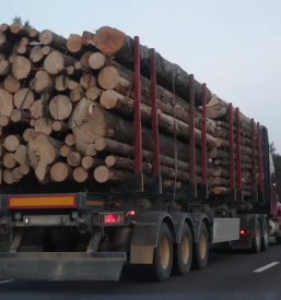 Gradnja gozdnih vlak in cest dolenjska in posavje