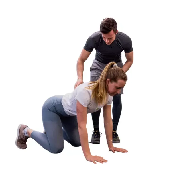 kineziologija in fizioterapija