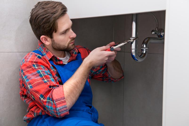 hišnik
