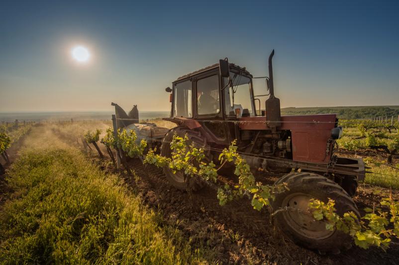 Vinogradniška orodja SLovenija