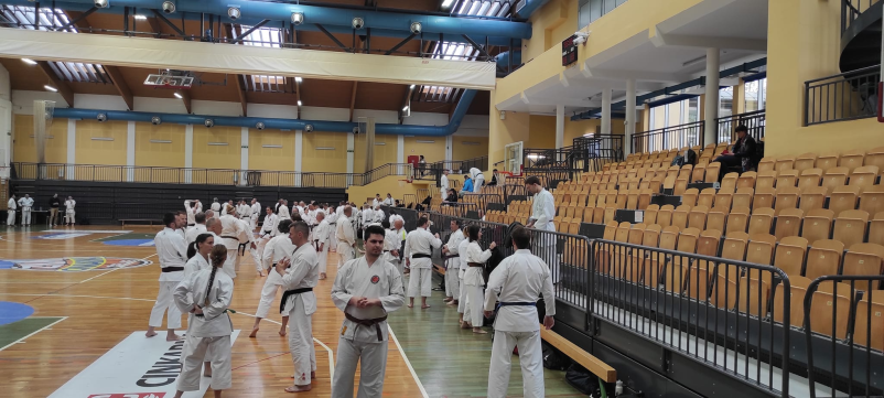 Vpis v karate klub Sežana