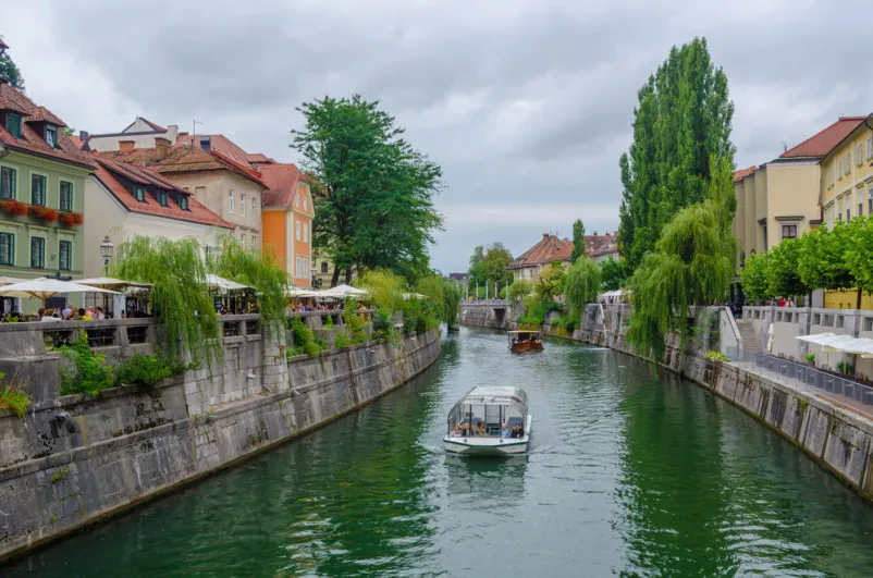 Piknik na ladjici, ki pelje po Ljubljanici 