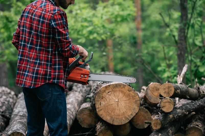 Spravilo lesa in odkup hlodovine Slovenske gorice, Štajerska 