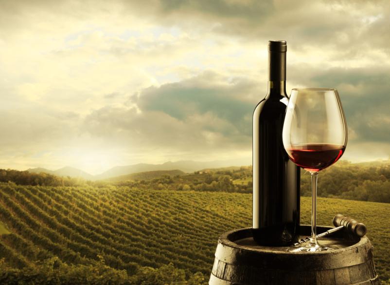 If you're on the search for good wines in Goriška, you are in luck!