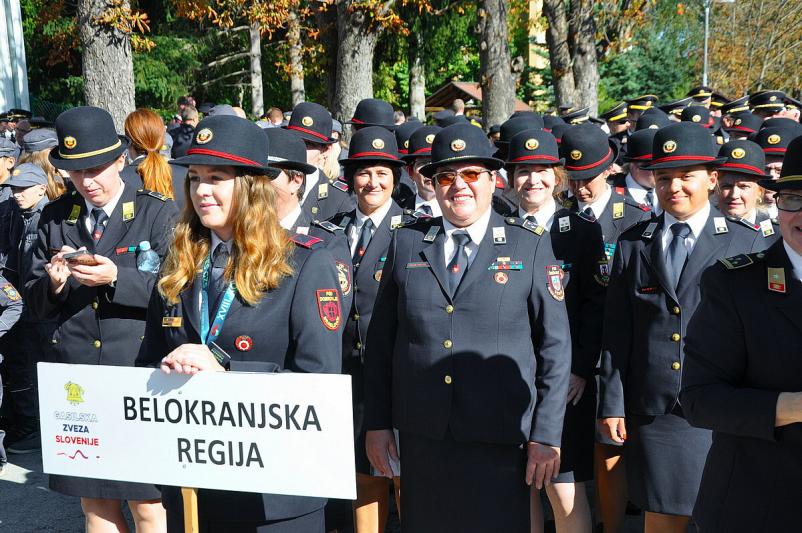 Prostovoljno gasilsko društvo Metlika, Dolenjska