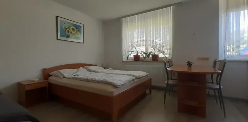 Najem apartmaja v Tržiču
