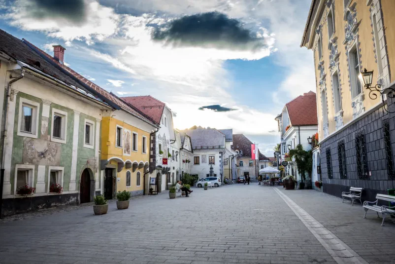 Oddaja sob gostom Radovljica