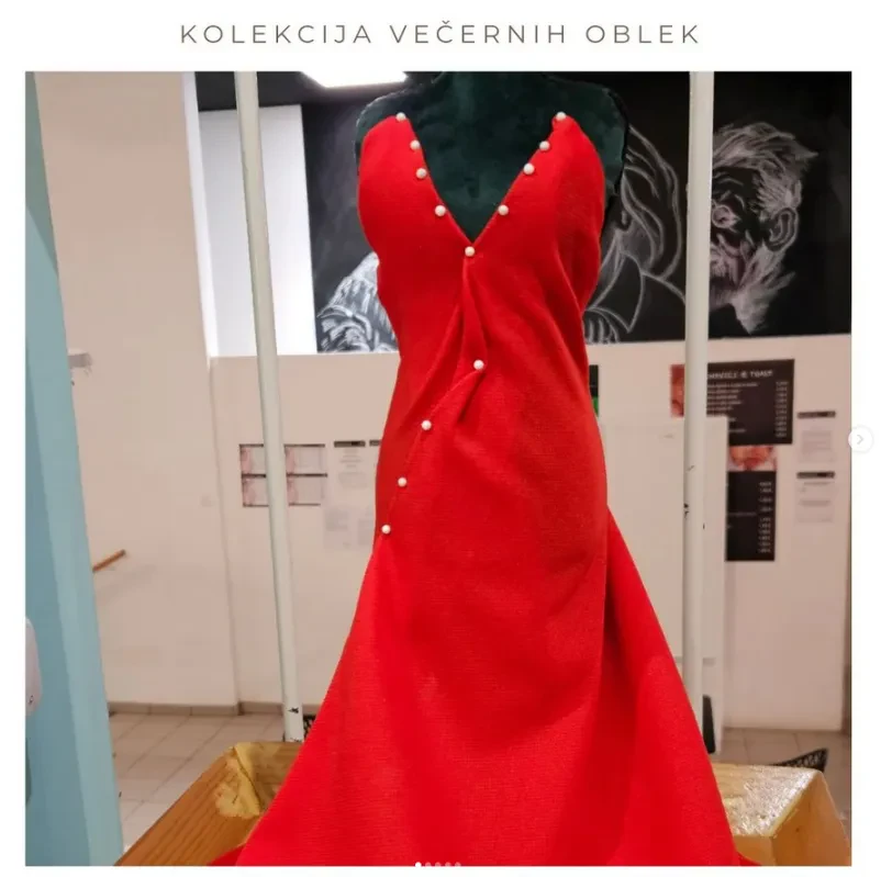 Programi, ki jih nudimo na Srednji šoli za oblikovanje na Podravskem: