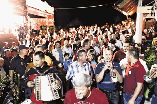 Degustacija domačih vin in salam Dolenjska