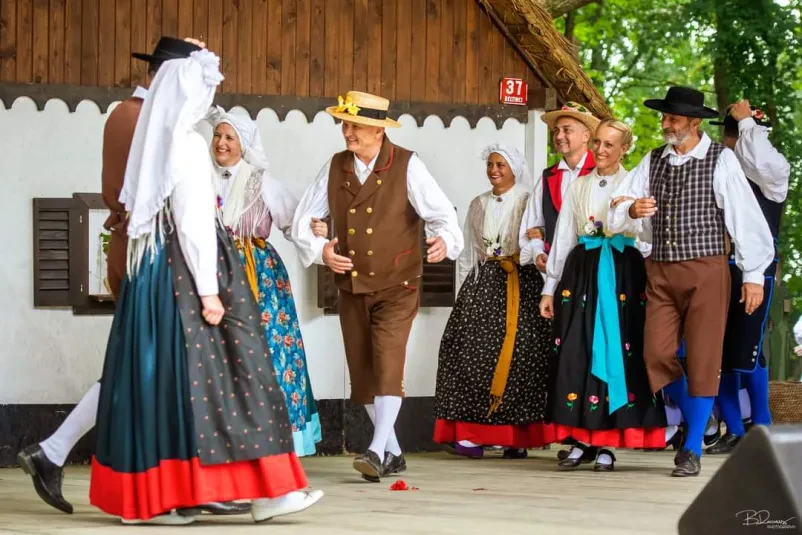 Vpis v folklorno skupino Ljubljana