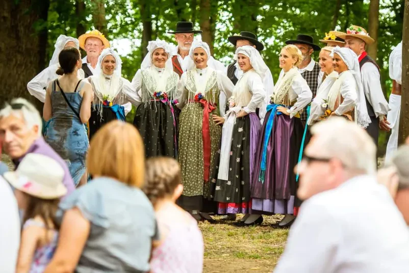 Folklorna skupina Ljubljana