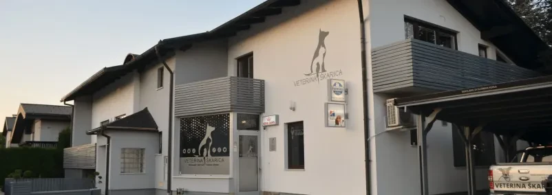 Cepljenje malih živali Murska Sobota