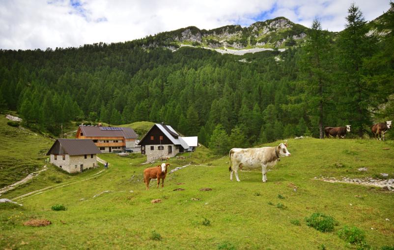 Hiking trails Slovenia