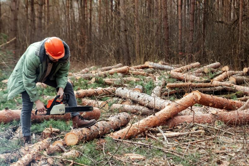 Pri sečnji in strojnem spravilu lesa upoštevamo varnostne standarde