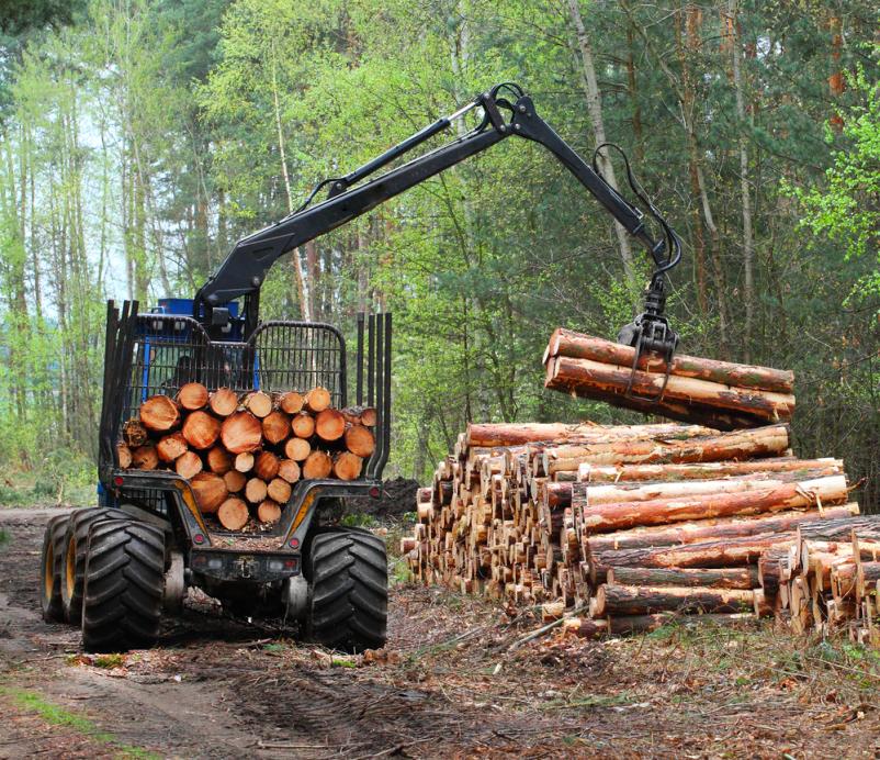 Dobra izbira za ugodno sečnjo in strojno spravilo lesa na Savinjskem, Koroškem