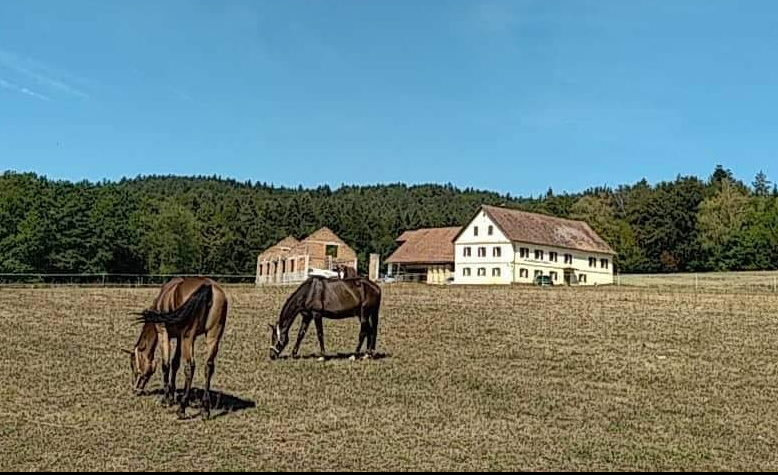 Vabljeni ljubitelji konj k vpisu