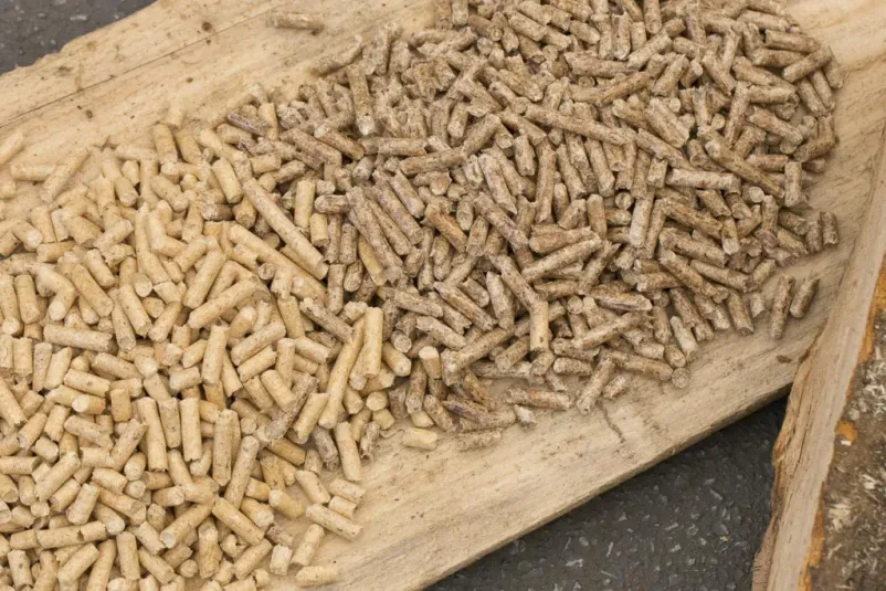 Consegna di legna e pellet Italia