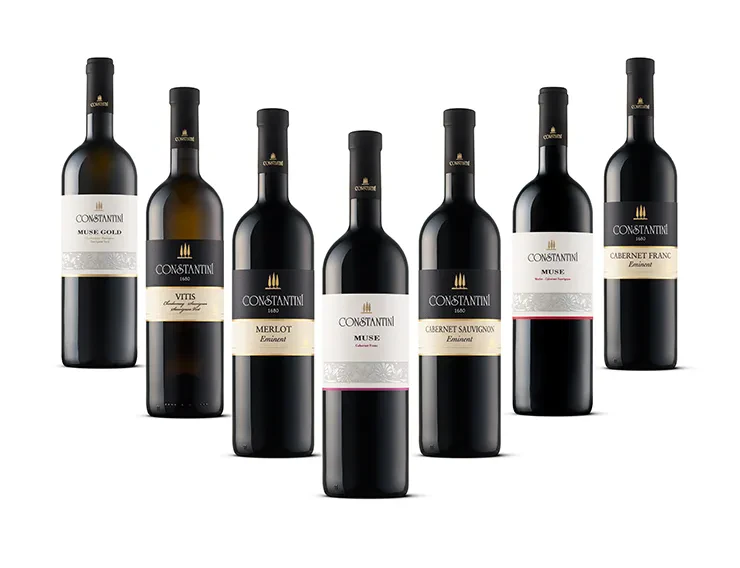 Degustacija vin Goriška Brda