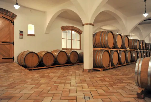 degustacije Brda