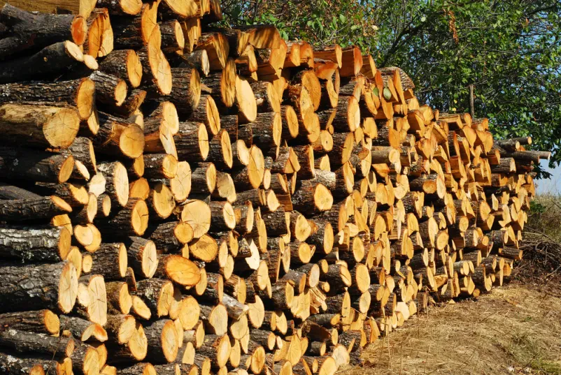 Gozdarska dela Gorenjska