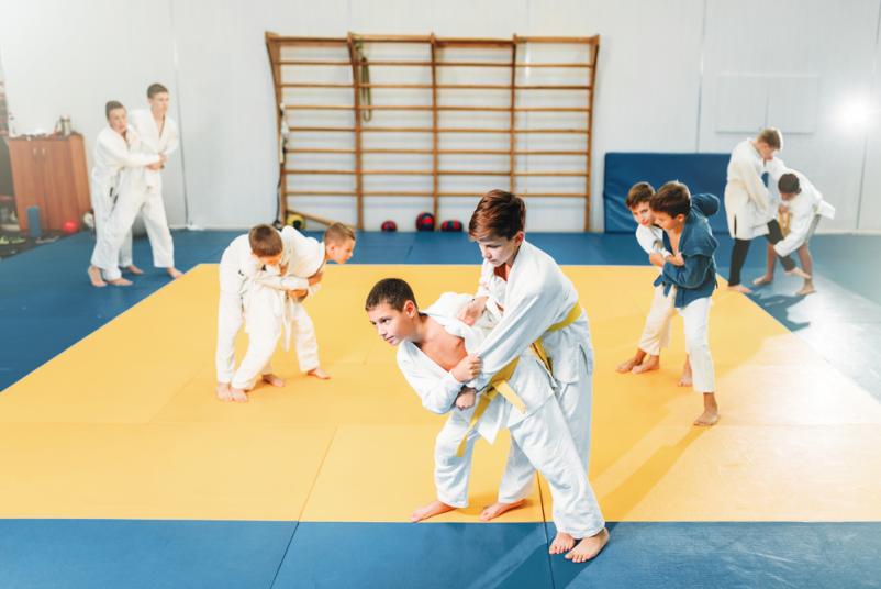 Judo Murska Sobota