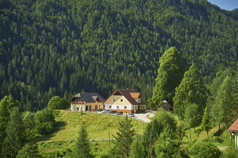 Turistična kmetija Gradišnik, Logarska dolina 