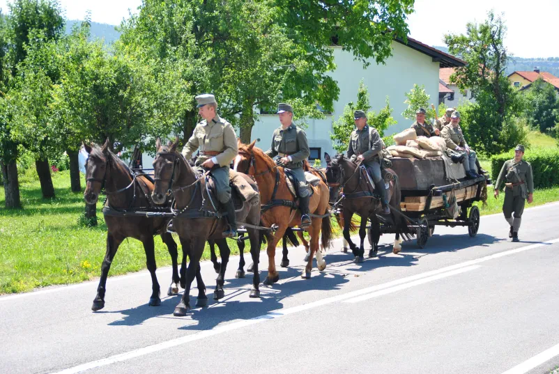 Etnologija in ohranjanje kulturne dediščine Vipavska dolina