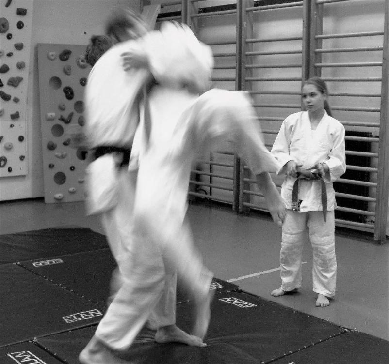 Ju-jitsu tabor Ljubljana