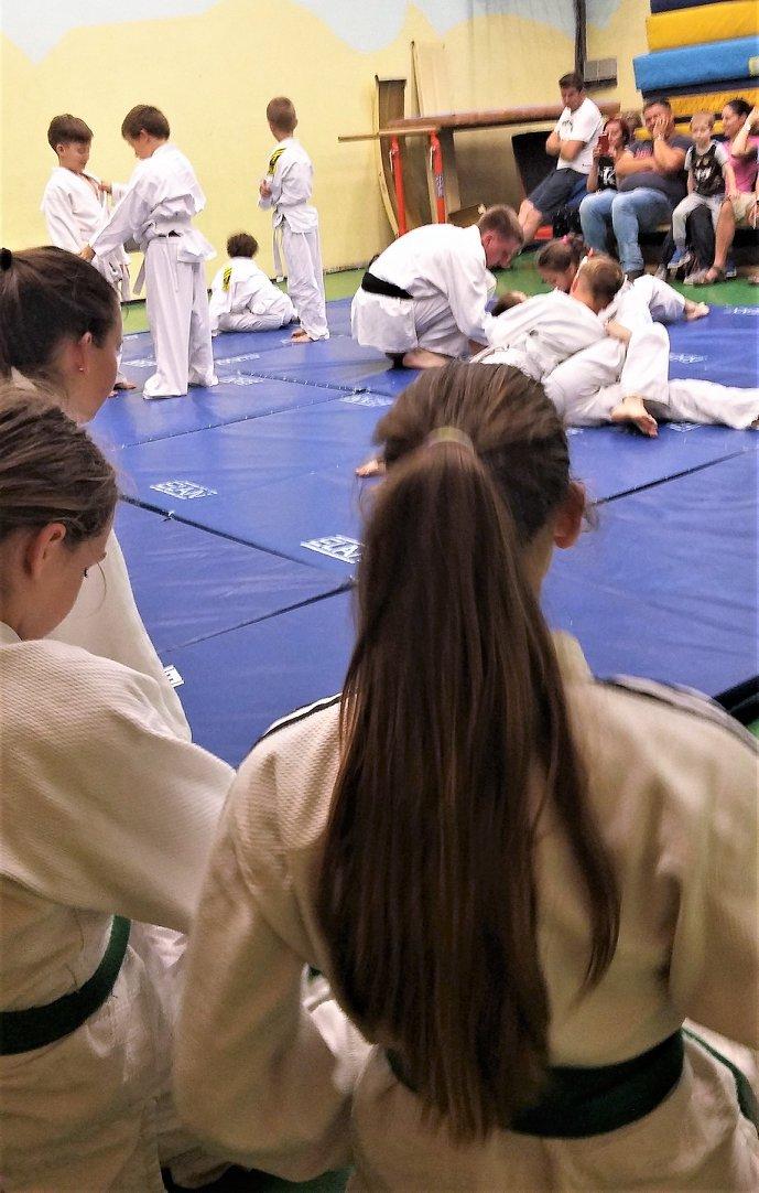 Ju-jitsu treningi Ljubljana