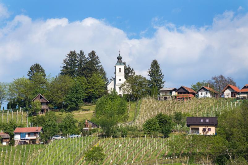 Območno združenje slovenskih častnikov Lendava, Pomurje