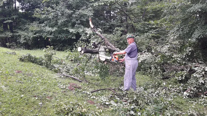 PD Galicija, Žalec