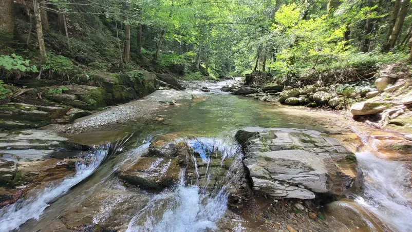 Prodaja ribolovnih dovolilnic Ruše