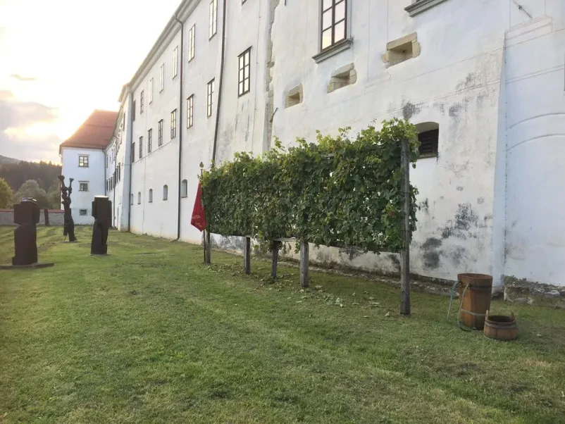 Promocija in izobraževanje vinarstva Kostanjevica na Krki