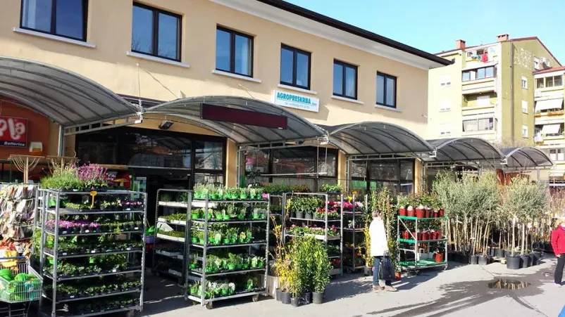 Semenarna, cvetličarna in repromaterial Sežana