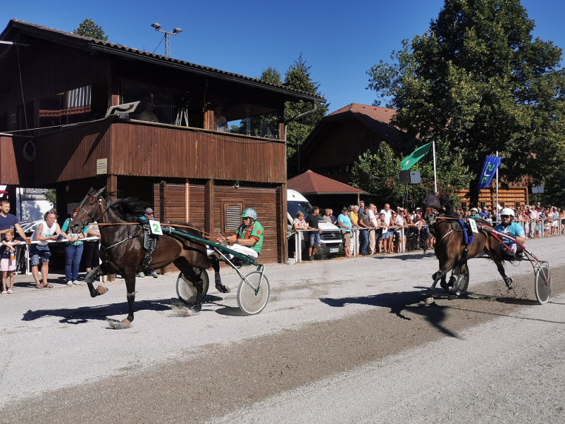 Jahanje za vse starostne skupine Ljubljana