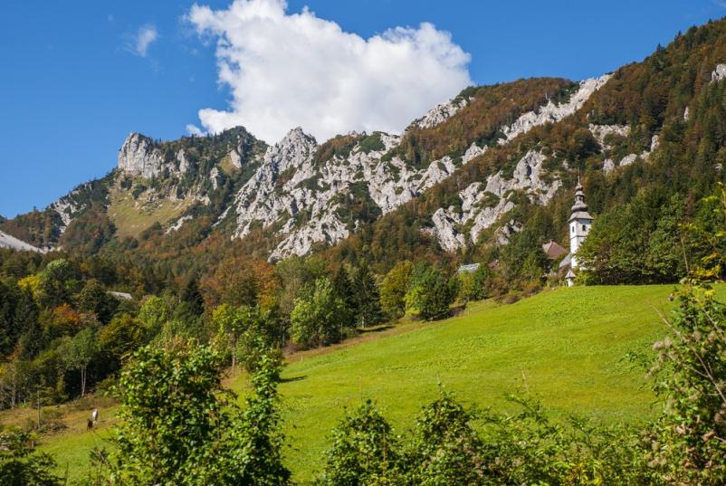 Povezovanje strokovnih delavcev v gozdarstvu