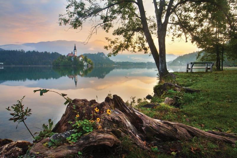 Študijski program Hotelirstvo in turizem in Zdravstveni turizem Bled