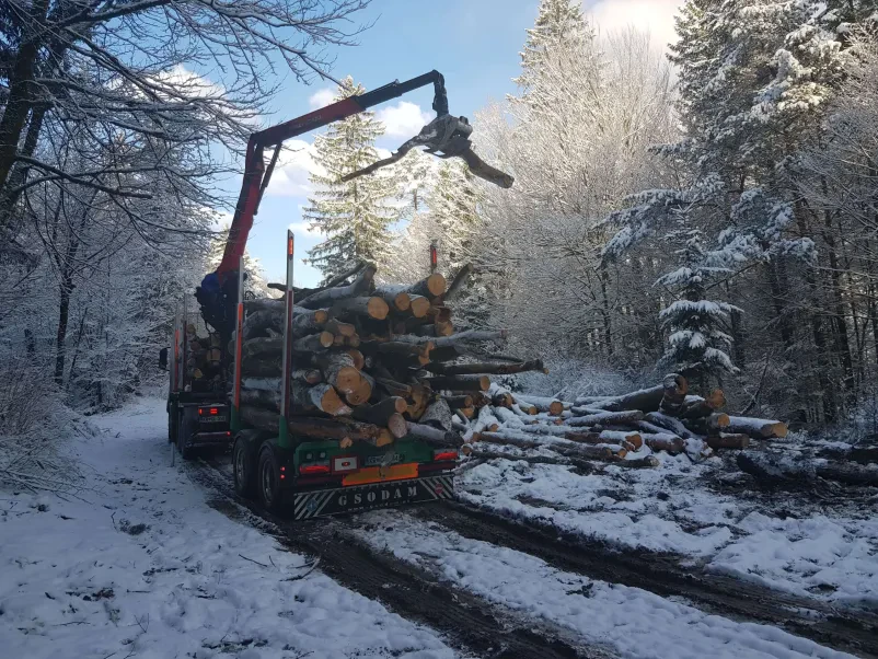 Trgovina z lesom Gorenjska, Slovenija