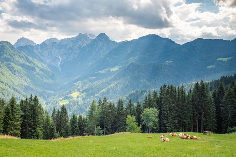 Agrarna skupnost Račja vas Cerklje ob Krki