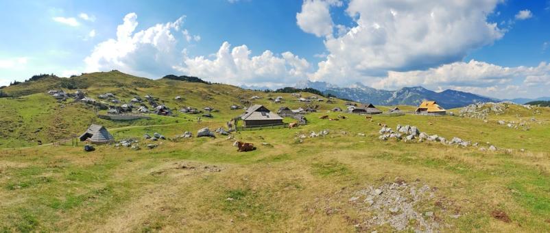 Agrarna vaška skupnost Gorenje Jezero, Cerknica