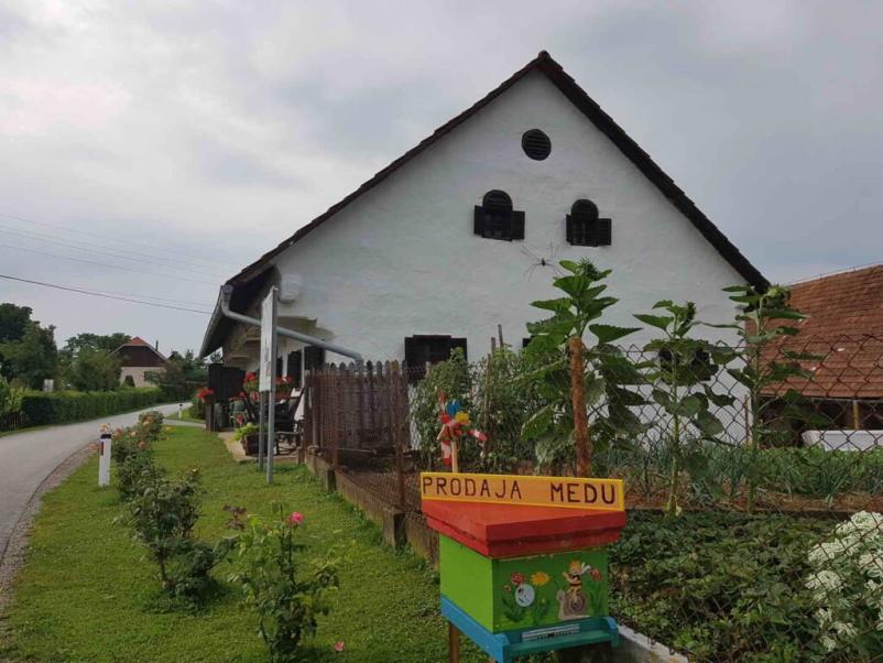 Farm accommodation Slovenske Gorice