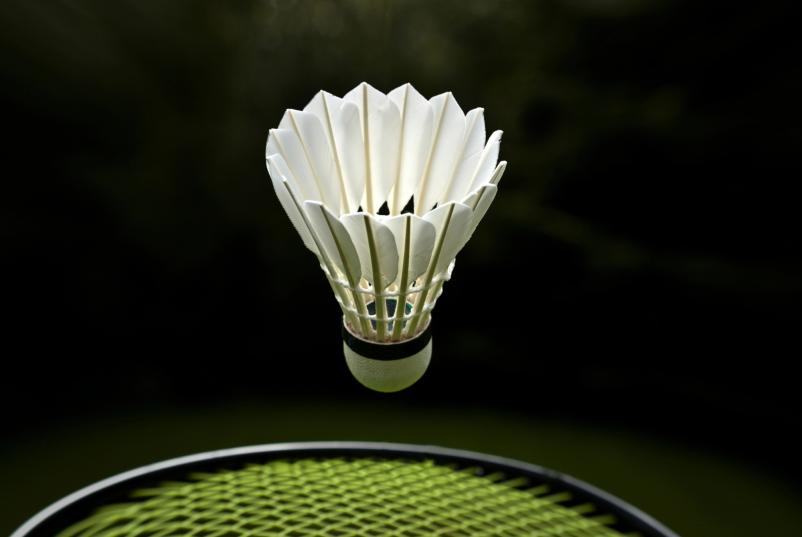 najem tenis, badminton igrišča