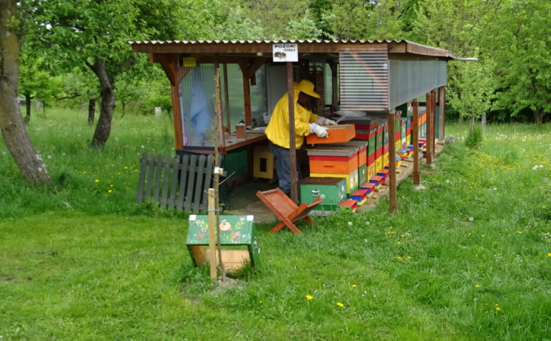 Kmečki turizem Slovenske gorice