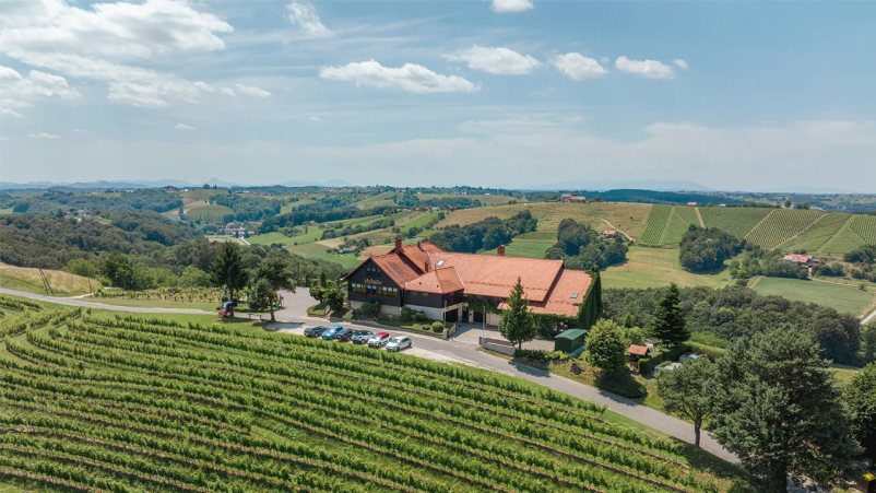 Najboljše domače vino na Štajerskem